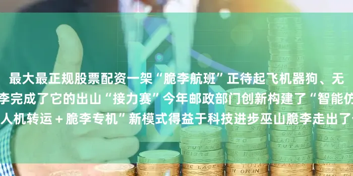 最大最正规股票配资一架“脆李航班”正待起飞机器狗、无人机、专机无缝衔接一颗脆李完成了它的出山“接力赛”今年邮政部门创新构建了“智能仿生机器狗田间运输＋无人机转运＋脆李专机”新模式　得益于科技进步巫山脆李走出了一条出山新路绘画：胥晓璇策划：王海燕　孟丽静　周大庆发布于：北京市